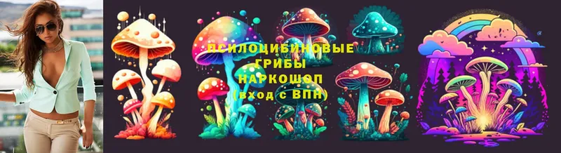 Галлюциногенные грибы MAGIC MUSHROOMS  Каргополь 